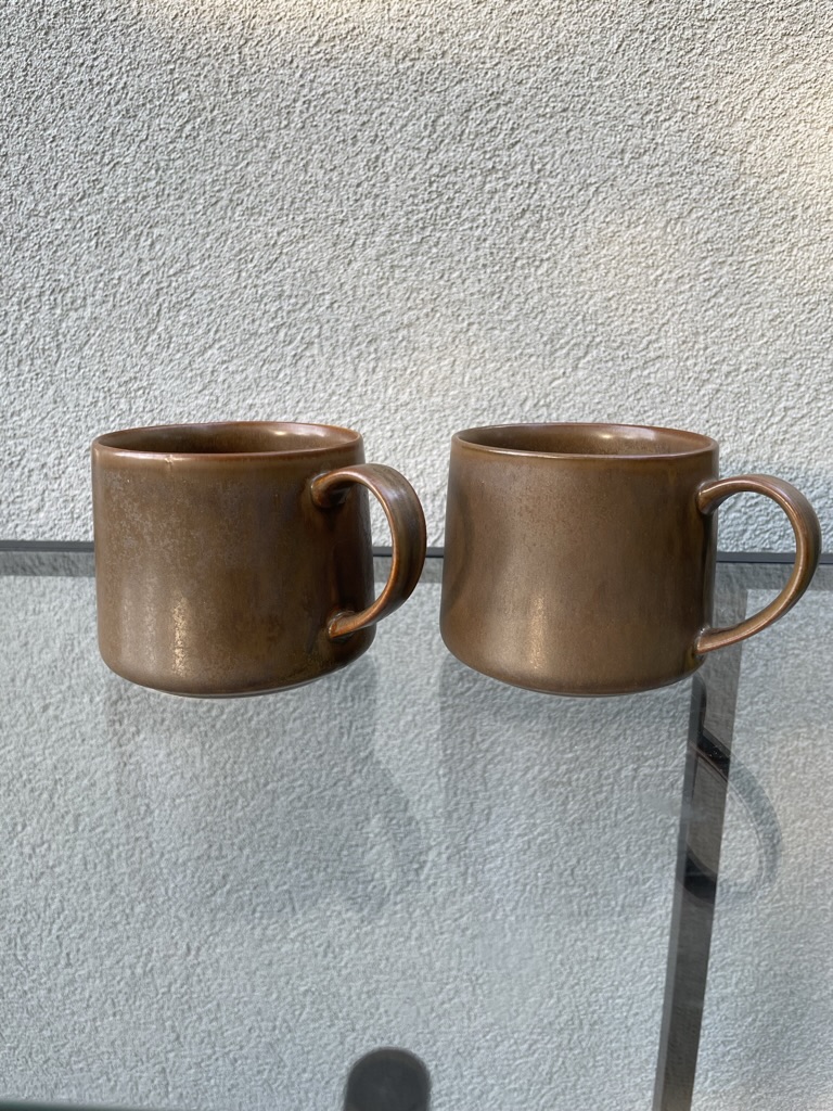 Starbucks Coffee Cup/Mug (Brown)
